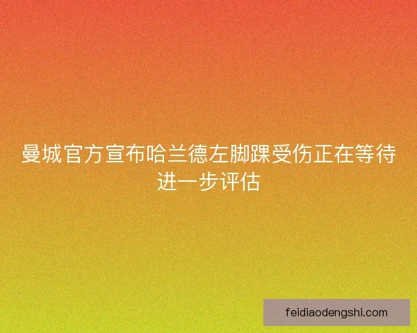 曼城官方宣布哈兰德左脚踝受伤正在等待进一步评估
