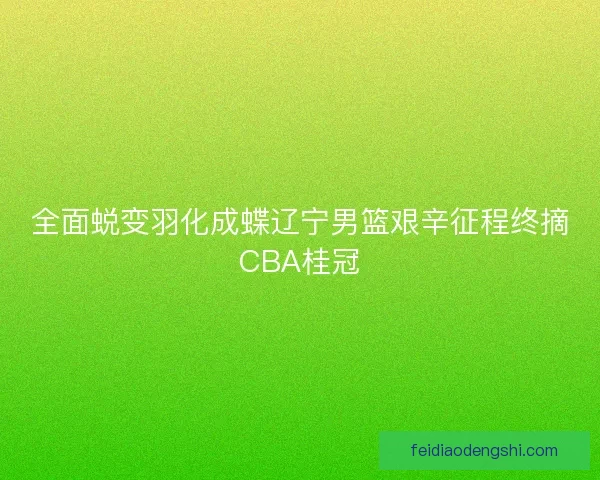 全面蜕变羽化成蝶辽宁男篮艰辛征程终摘CBA桂冠 全面蜕变羽化成蝶辽宁男篮艰辛征程终摘CBA桂冠