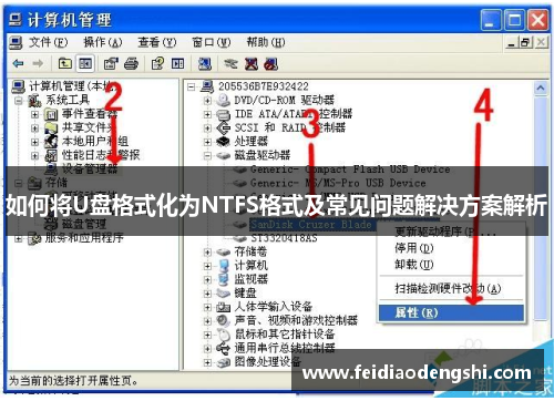 如何将U盘格式化为NTFS格式及常见问题解决方案解析